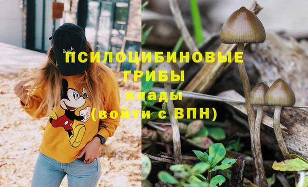 круглые Алексеевка