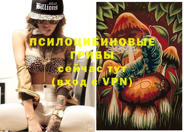 круглые Алексеевка