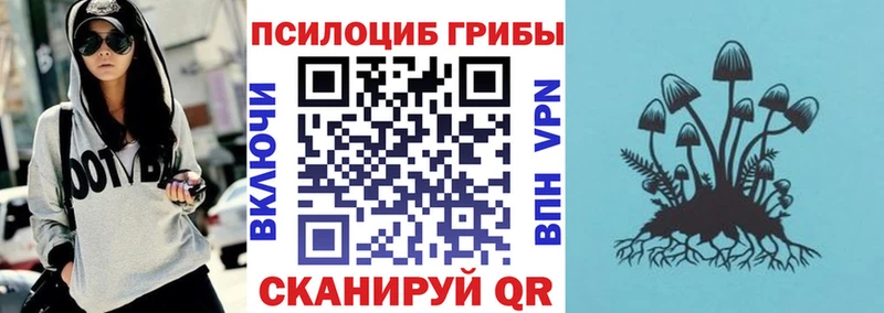 Псилоцибиновые грибы прущие грибы  что такое наркотик  Камбарка 